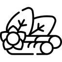 KSM-66 Ashwaghanda Extract