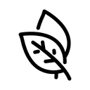 Natural Caffeine (Green Tea)